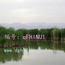 ҵ