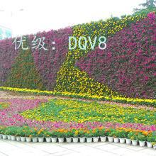 ĺ֮