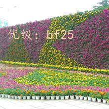 ḻ