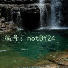 ḻ