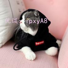 ҵ