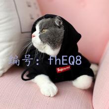 벻