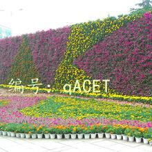 ĺ֮
