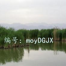 ջ